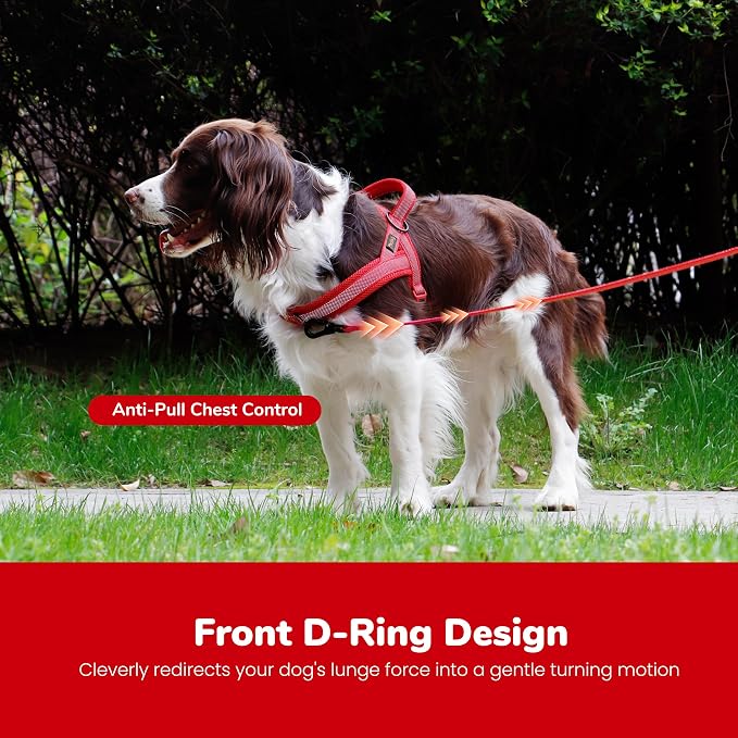 Didog No Pull Dog Harness with Breathable Mesh Padded, Full Reflective & Quick Fit Adjustable Vest Harness, Easy for Training Walking for Small & Medium and Large Dogs (Red, L:Chest 26-32")