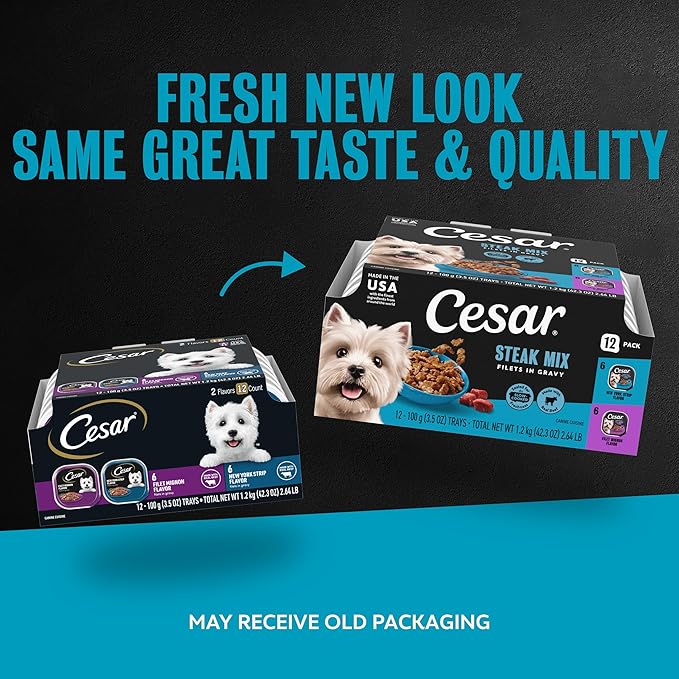 Cesar Filets in Gravy Adult Wet Dog Food Variety Pack, Filet Mignon and New York Strip Flavors, 3.5 oz. Easy Peel Dog Food Tray, 12 Count (Pack of 1)