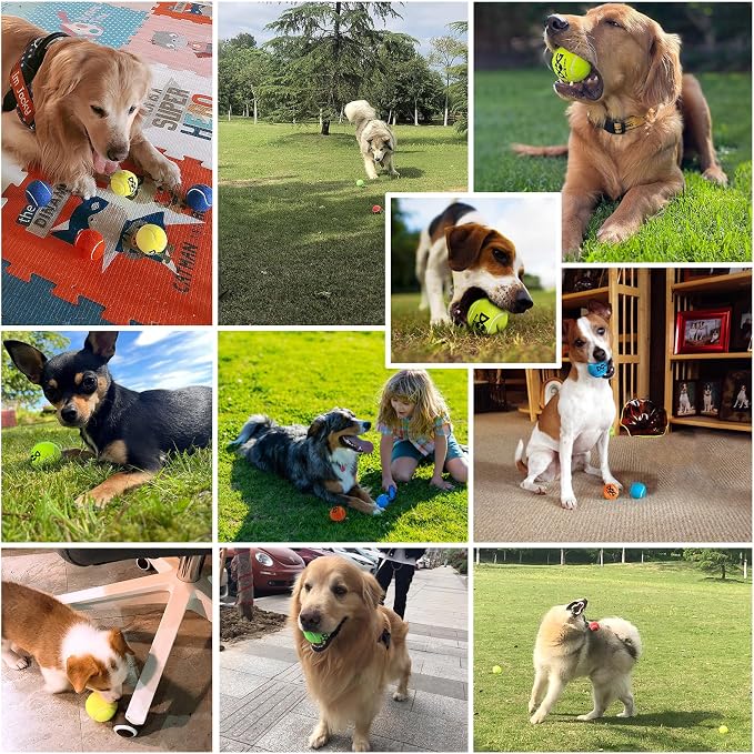 INSUM Tennis Balls for Dogs - 12 Pack 2.0'' Durable Non-Toxic Outdoor Dog Toys Balls with Mesh Bag, SGS Certified, Colorful Fetch Toys, Small Breeds (Non Squeaky)