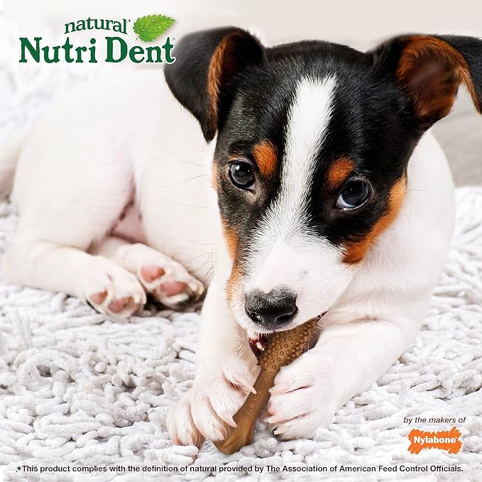 Nylabone Nutri Dent Dog Dental Chews - Natural Dog Teeth Cleaning & Breath Freshener - Dental Treats for Dogs - Filet Mignon Flavor, Small (28 Count) (Pack of 2)