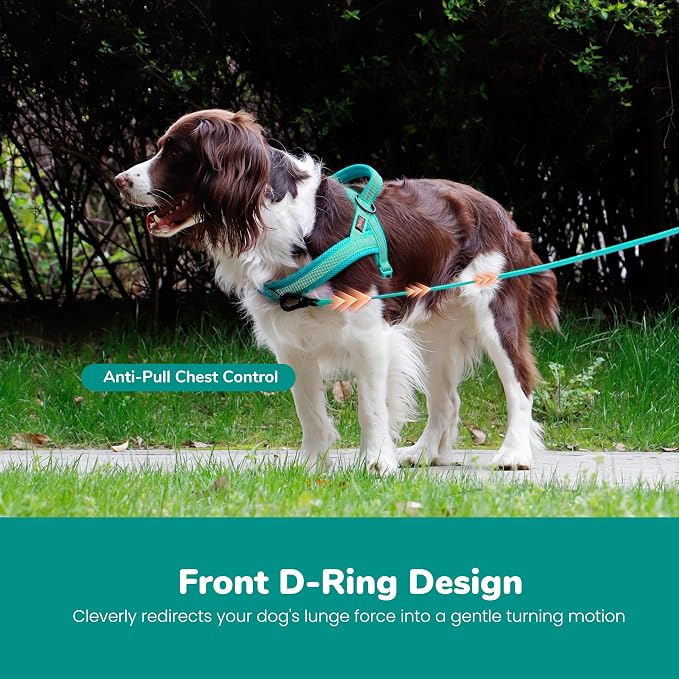 Didog No Pull Dog Harness with Breathable Mesh Padded, Full Reflective & Quick Fit Adjustable Vest Harness, Easy for Training Walking for Small & Medium and Large Dogs (Green, M:Chest 21-26")