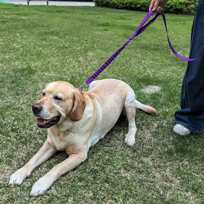 BTINESFUL 8ft Dog Leash with 3 Handles, Triple Handle, Reflective, Shork Absorbing Bungee, Control & Safety Training for Large Medium Dogs (Purple, 1 in x 8 ft)