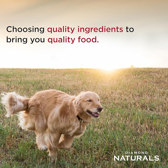 Diamond Naturals Adult Real Meat Recipe Premium Dry Dog Food With Real Pasture Raised Lamb Protein 6Lb