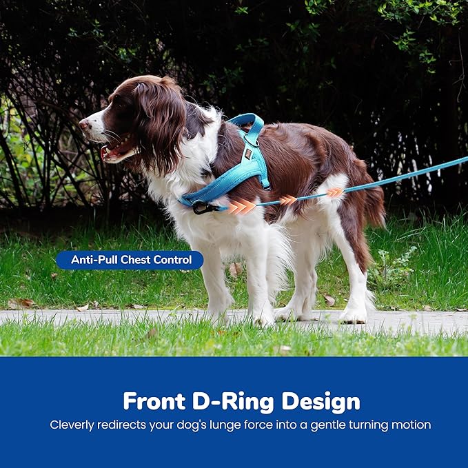 Didog No Pull Dog Harness with Breathable Mesh Padded,Reflective & Quick Fit Light Weight Dog Strap Vest Harness,Easy for Walking Training (S:Chest 18-22", Mesh-Blue)