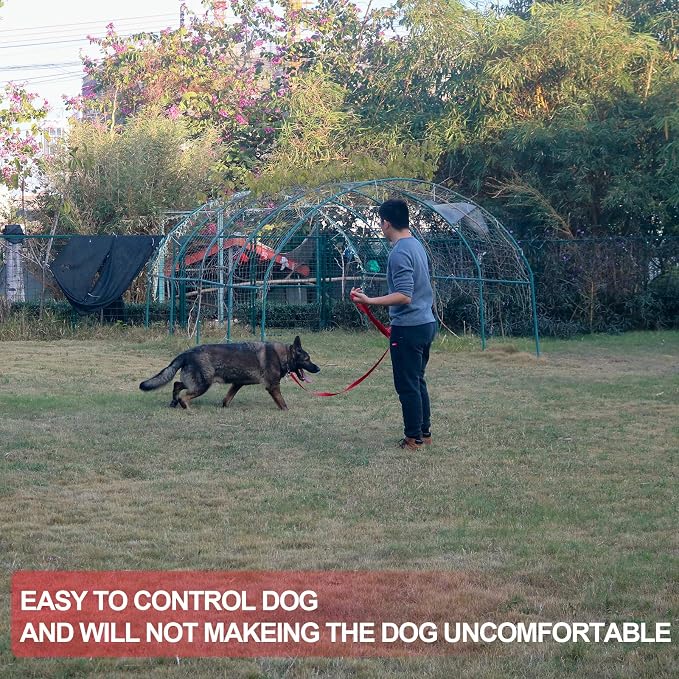 Dog/Puppy Obedience Recall Training Agility Lead - 15ft 20ft 30ft 50ft Training Leash - Great for Play, Camping, or Backyard - Red 15ft (15Feet, Red)