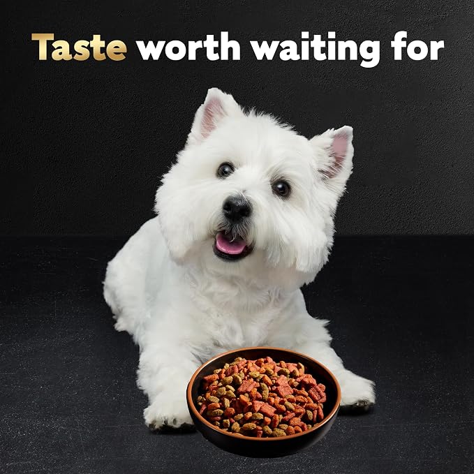 Cesar Small Breed Dry Dog Food for Small Dogs, Porterhouse Flavor and Spring Vegetables Garnish, 5 lb Bag