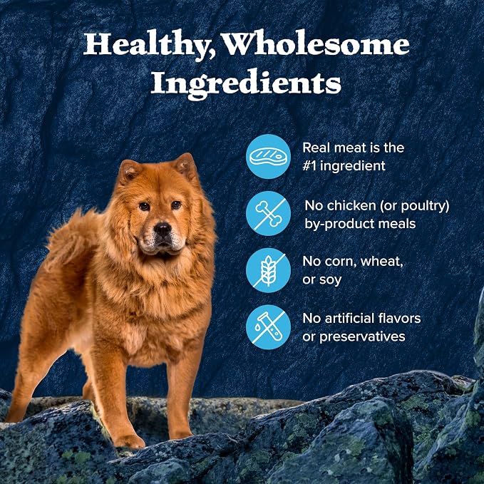 Blue Buffalo Wilderness Trail Toppers Wild Cuts Chicken & Beef Variety Pack, Natural Wet Dog Food Made with Natural Ingredients, Protein-Rich & Grain-Free Recipes, 3-oz. Each (12 Pouches)