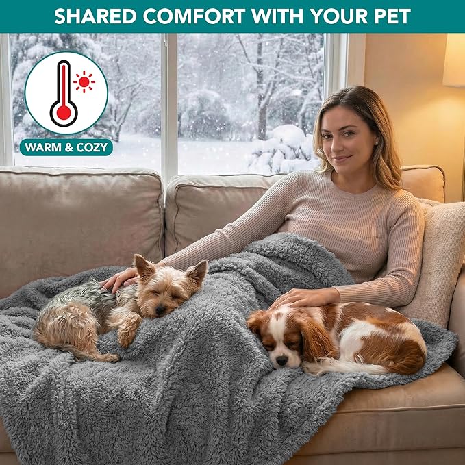 PetAmi Fluffy Waterproof Dog Blanket for Couch and Bed, Reversible Sherpa Pet Throw, Pee Proof Furniture Protector Sofa Cover, Washable Cat Blanket for Small Medium Dogs and Cats (Light Grey, 24x32)