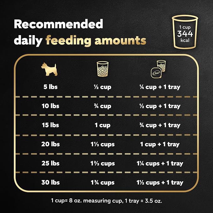 Cesar Small Breed Dry Dog Food for Small Dogs Rotisserie Chicken Flavor and Spring Vegetables Garnish, 2.7 lb Bag