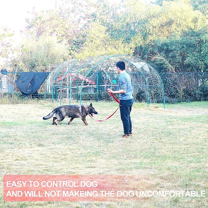 Dog/Puppy Obedience Recall Training Agility Lead - 15ft 20ft 30ft 50ft Training Leash - Great for Play, Camping, or Backyard - Blue 50ft (Blue, 50 Feet)