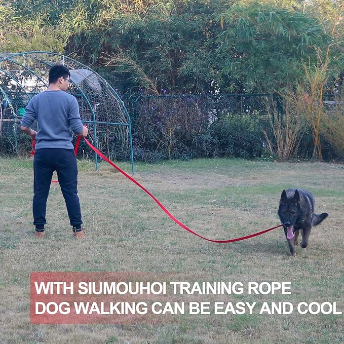 Dog/Puppy Obedience Recall Training Agility Lead - 15ft 20ft 30ft 50ft Training Leash - Great for Play, Camping, or Backyard - Red 15ft (15Feet, Red)
