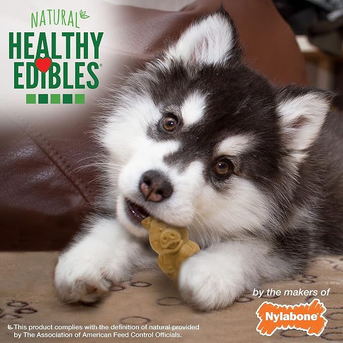 Nylabone Healthy Edibles Natural Puppy Chews Long Lasting Treats for Puppies, Lamb & Apple Flavor, Small/Regular (12 Count)