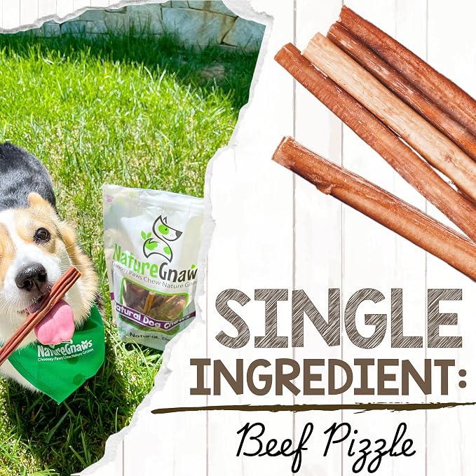 Nature Gnaws Thin Bully Sticks for Dogs 5-6" (1Lb) - Mixed Thickness - Long Lasting for Small Dogs and Puppies - Natural Thin Beef Dog Chew Bones - Rawhide Free