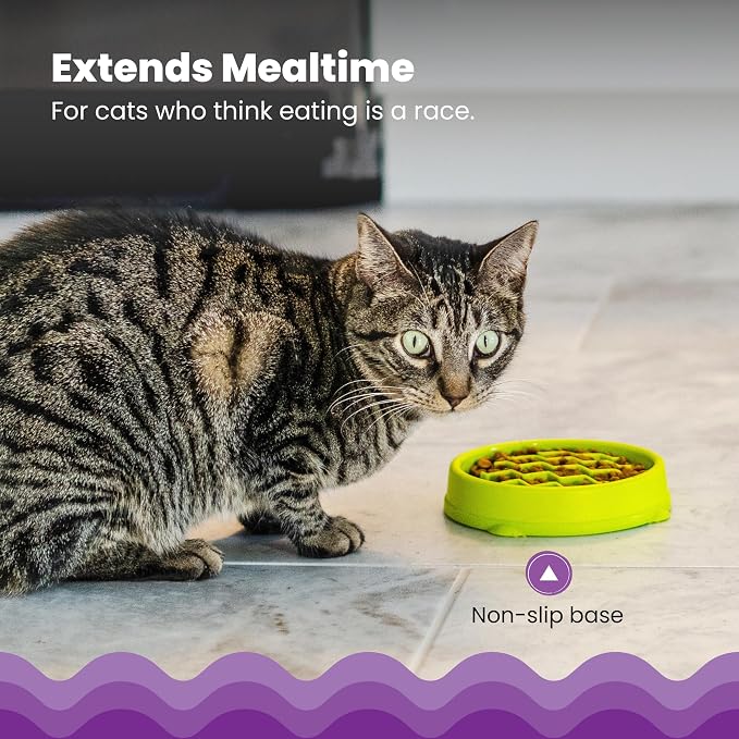 Catstages Kitty Slow Feeder Bowl for Cats & Small Dogs, Puzzle Dish for Fast Eaters, for Wet or Dry Food, Helps Slow Eating & Aid Digestion, Non-Slip, Made Without BPA, 3/4 Cup, 5-Inch, Green