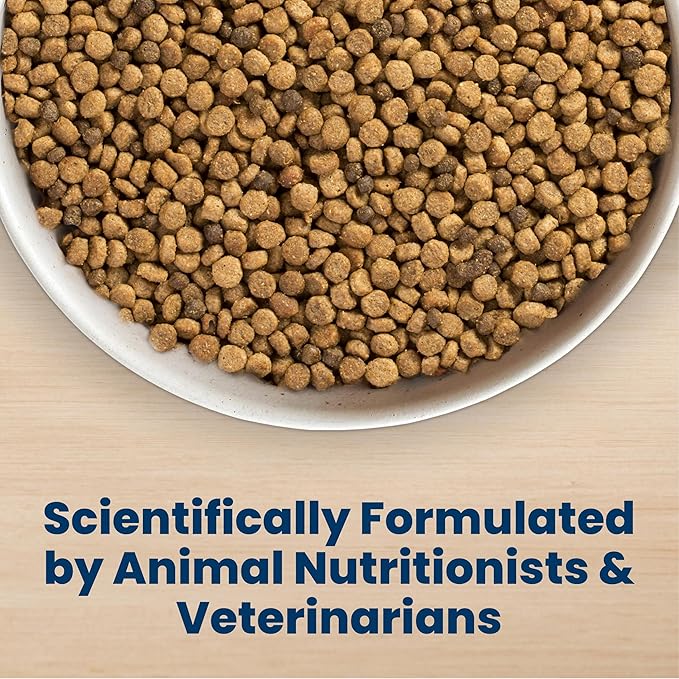 Blue Buffalo Life Protection Formula Chicken & Brown Rice Small Bite Adult Dry Dog Food, Supports Immunity with Antioxidant-Rich LifeSource Bits, Promotes Healthy Muscles, Skin & Coat Health, 15 lbs.