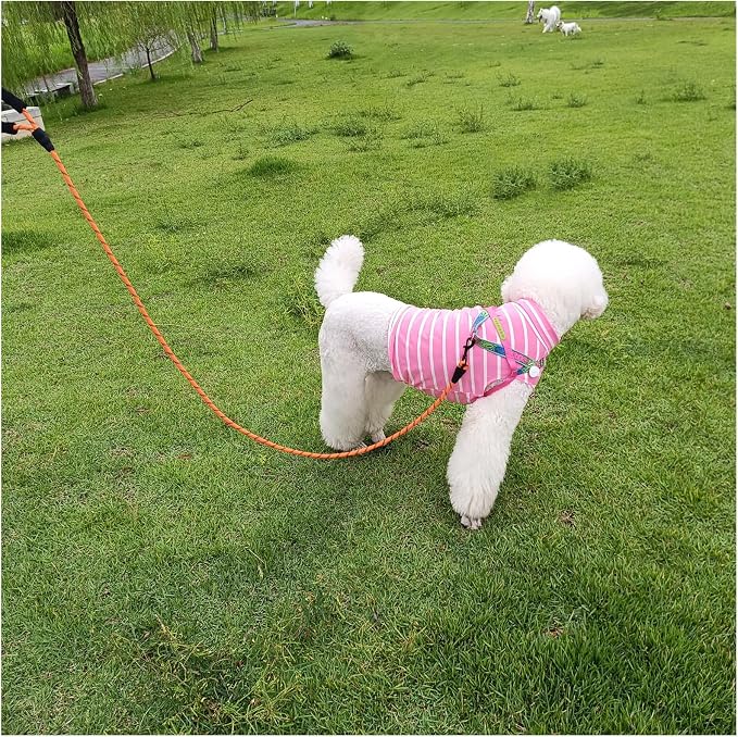 MayPaw Heavy Duty Rope Dog Leash, 3/4/5/6/7/8/10/12/15 FT Nylon Pet Leash, Soft Padded Handle Thick Lead Leashes for Large Medium Dogs (Orange, 1/2" * 8')