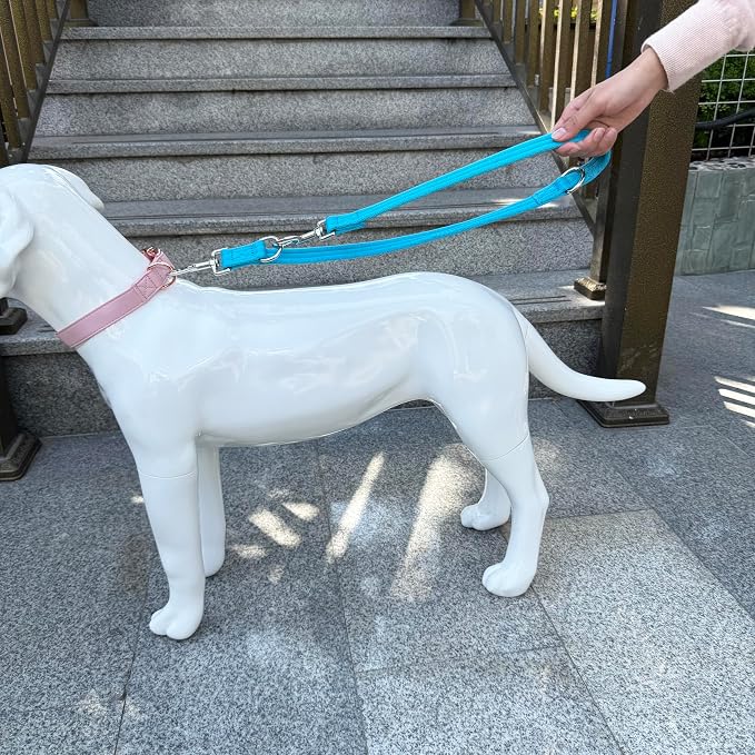 Double Ended Dog Leash,for Obedience Training Easy to Use,Lightweight,Soft for Large and Medium Dogs (Blue, 1M*2.5CM)