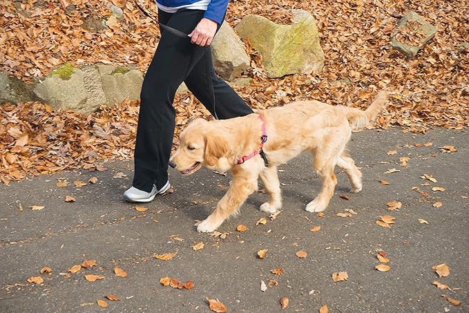 PetSafe Easy Walk Deluxe Dog Harness, No Pull Dog Harness Perfect for Leash & Harness Training Stops Pets from Pulling and Choking on Walks Small, Rose