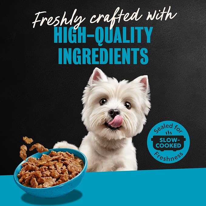 Cesar Filets in Gravy Adult Wet Dog Food Variety Pack, Filet Mignon and New York Strip Flavors, 3.5 oz. Easy Peel Dog Food Tray, 12 Count (Pack of 1)