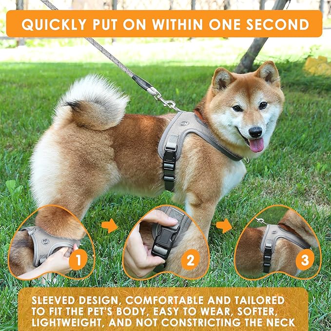 Dog Harness and Leash Set, No Pull Saddle Style Pet Harness, Breathable Mesh Adjustable Reflective Dog Vest for Dogs and Cat Medium Small Harness 2 D-Rings (Grey, XS)
