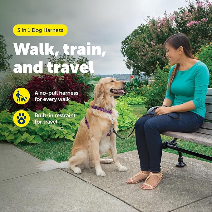 PetSafe 3 in 1 No-Pull Dog Harness for Large Dogs - Walk, Train or Travel - Helps Pets from Pulling on Walks - Seatbelt Loop Doubles as Quick Access Handle - Reflective- Large, Plum