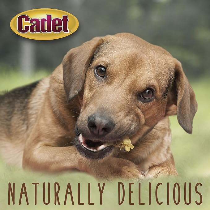 Cadet Gourmet 14 Oz. Chicken & Apple Wrapped Dog Treats - 1 Each