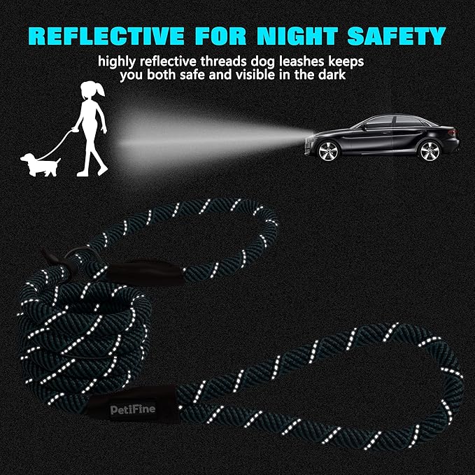 PetiFine Slip Lead 6FT x 3/8" Reflective Durable Dog Training Leash, Heavy Duty Adjustable Nylon Dog Rope Leash for Small Medium Large Dogs (Blue)