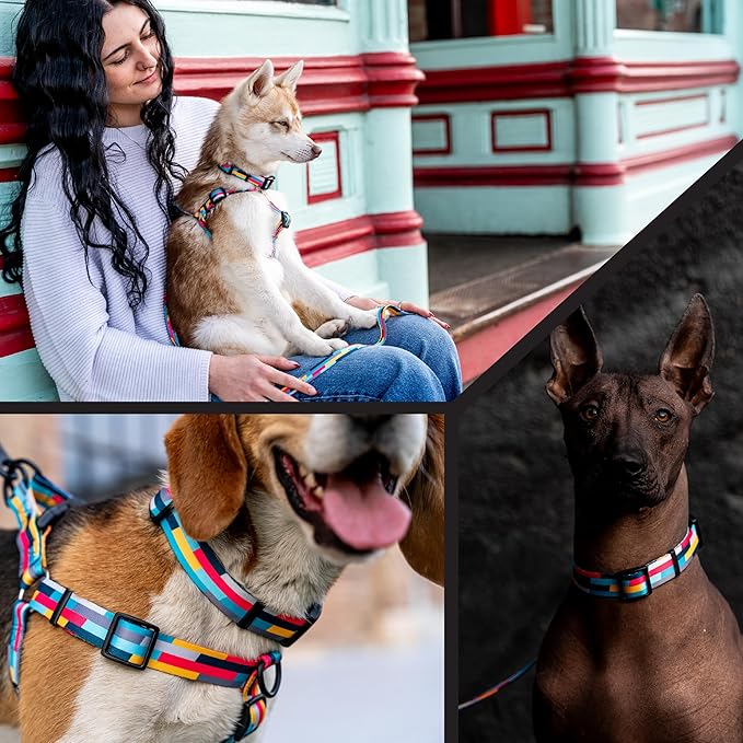 Wolfgang Heavy Duty, Adjustable Dog Collar with Quick Release Nylon Buckle for Walking & Training, Mixtape Print, Medium
