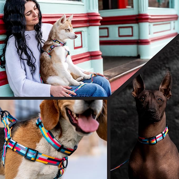 Wolfgang Heavy Duty, Adjustable Dog Collar with Quick Release Nylon Buckle for Walking & Training, Mixtape Print, Small