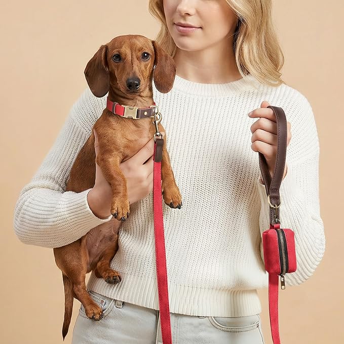 Didog Soft PU Leather Dog Collars for Small Dogs,Classic Adjustable Dog Collars with Quick Release Metal Buckle,Easy Clean and Comfortable with Nylon Lining,Red,S Neck 11-15"