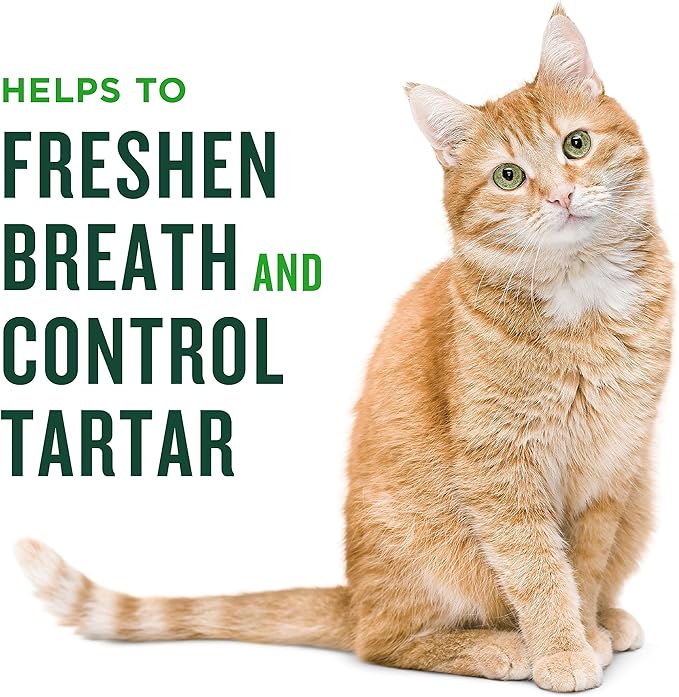 Minties Dental Treats for Cats, Chicken Flavored Cat Dental Treats, Freshens Breath and Controls Tartar, 10oz
