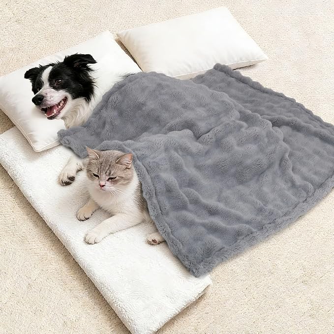 Dog Blankets Washable Pet Blanket - Fluffy Fuzzy Cat Puppy Blanket with Premium 300GSM 3D Fleece Bubble for Pet Kitten Doggy, Grey, 40x60IN