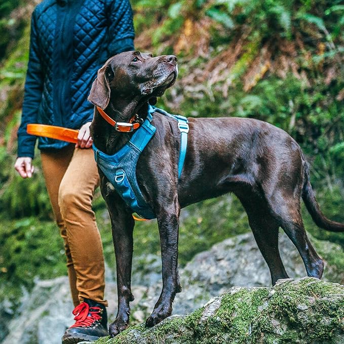 Kurgo Journey Air Dog Harness - Secure Fit for Active Dogs - Padded Chest - Lightweight Ripstop Fabric - Breathable Mesh - Reflective Trim - Back Assist Handle - Black - Medium