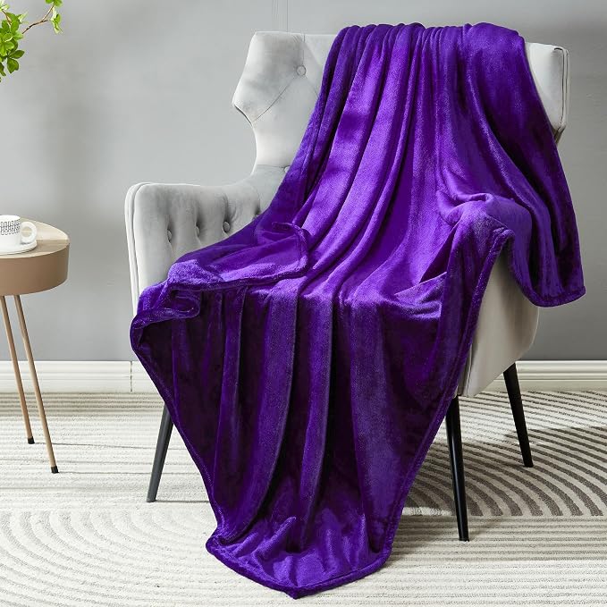 DREAMNINE Super Soft Fuzzy Fleece Throw Blanket for Couch Sofa 50" x 60",Decorative Solid Lightweight Velvet Blanket for Chair, Cozy Accent Shaggy Micro Plush Flannel Blankets for Bedroom Dorm, Purple