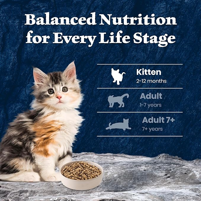 Blue Buffalo Wilderness High-Protein & Grain-Free Dry Food for Kittens, Natural Ingredients with DHA for Cognitive Development, Salmon Recipe, 5lb Bag