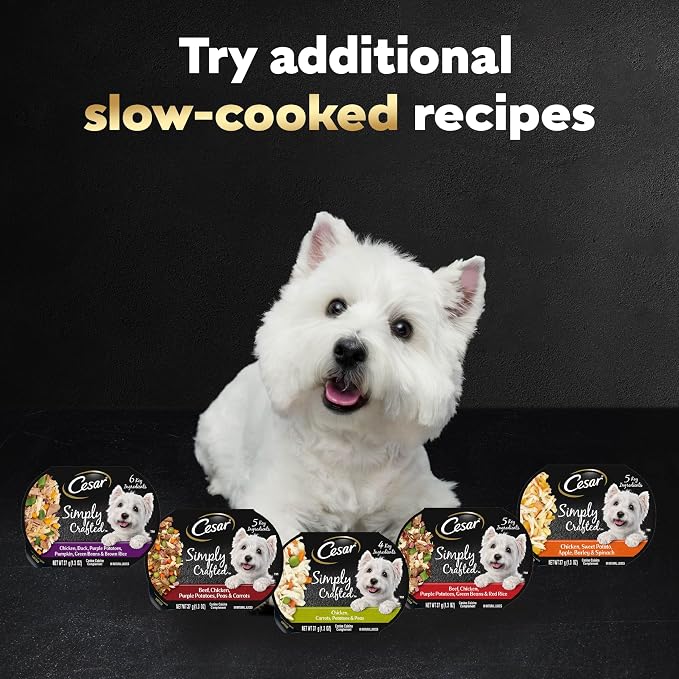 Cesar Simply Crafted Wet Dog Food Toppers for Dry Food, Chicken and Beef Meal Topper Variety Pack, 1.3 oz. Tubs, Variety Pack, 40 Count