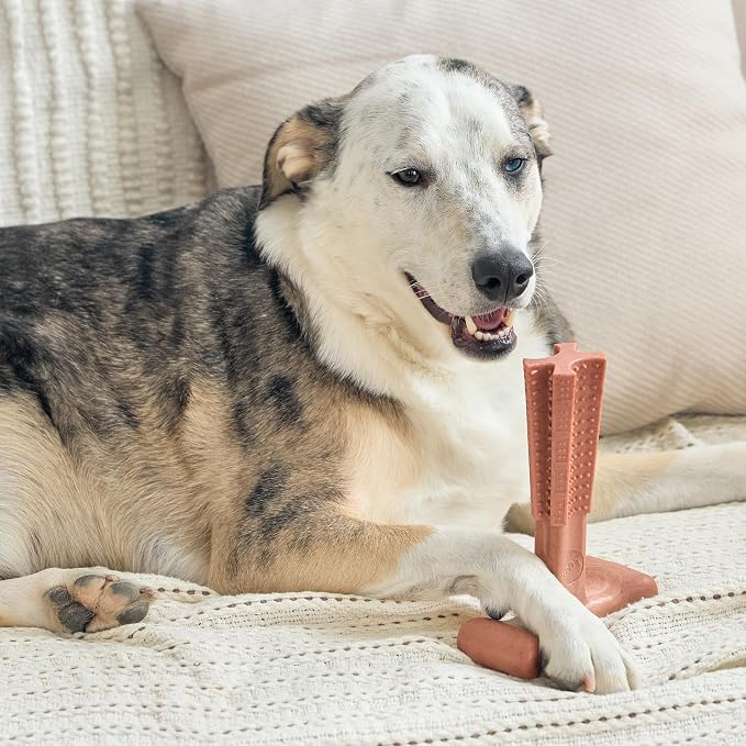 SPOT Bam-Bones Plus T Bone - Bamboo Fiber & Nylon Dog Chew Toy for Moderate to Aggressive Chewers, Non-Splintering, Long-Lasting, 7in Beef Flavor, for Adult Dogs & Teething Puppies Under 90lbs