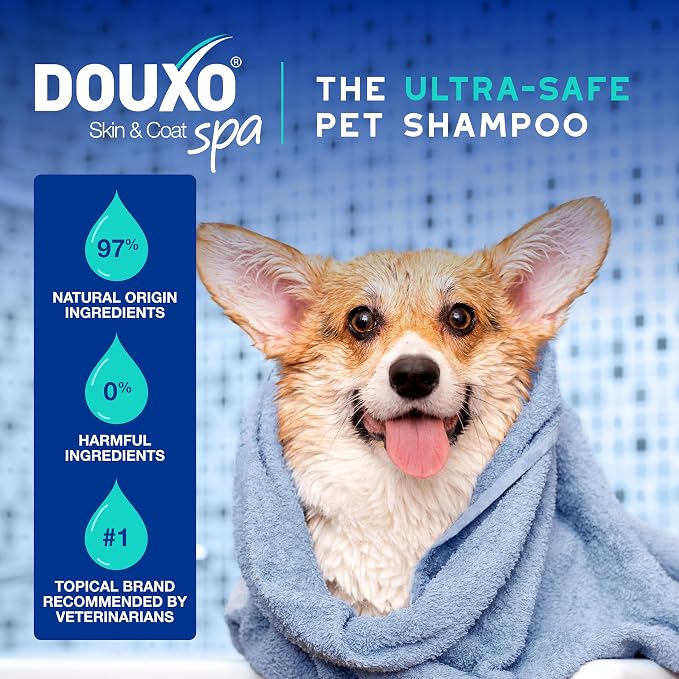 DOUXO SPA Dog Shampoo for Smelly Dogs, 16 fl oz, Hydrates the Skin, Removes Bad Odor, Leaves the Coat Soft and Smelling Great, Ultra-Safe Formula