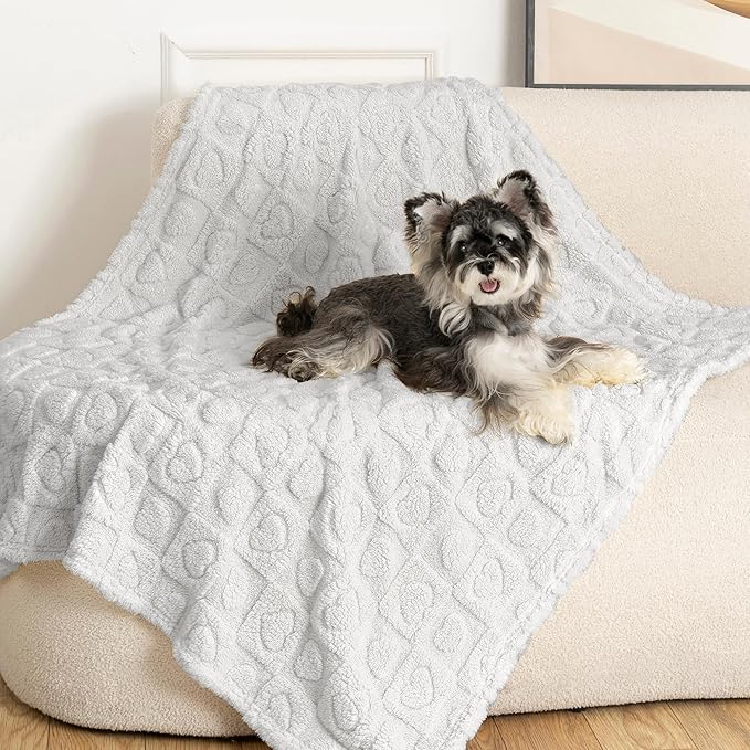 gogobunny Large Pet Blanket for Dogs Cats, Ultra Soft 300GSM Coral Fleece Washable Furniture Protector for Couch Bed Car Seat, Calming Crate Mat Blanket for Large Breeds, Light Grey, 40x50IN