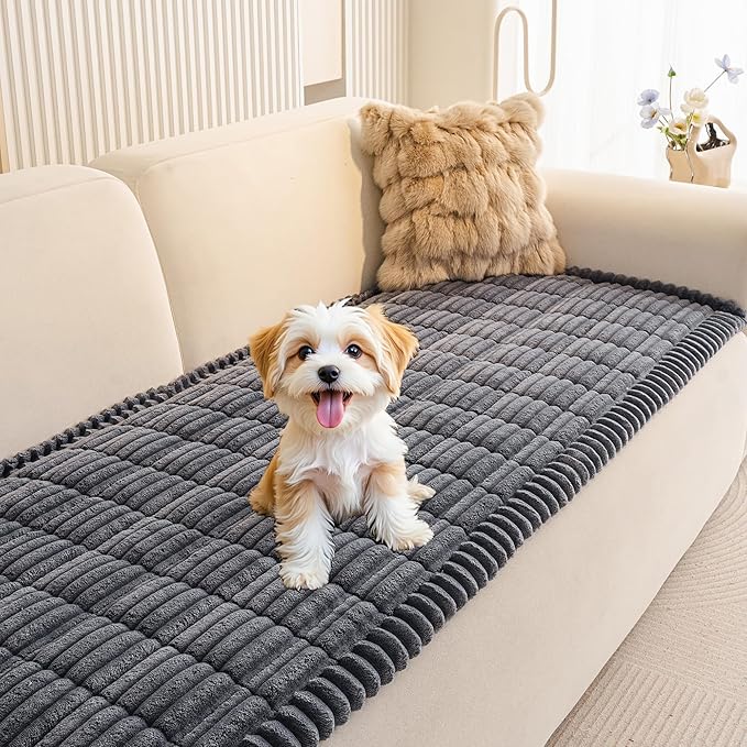 MEETSKY Couch Cover for Sofa, Non Slip Washable Couch Covers for 2 Cushion Couch Sofa Pet Friendly, Soft Sofa Cover for Love Seats, Dog Mat for Couches, Dark Grey, 27.6" x 59"