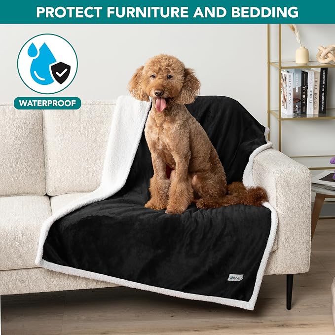 PetAmi Waterproof Dog Blanket for Couch, Large 60x40, Pee Proof Sherpa Fleece Reversible Pet Throw, Furniture Protector for Bed Sofa Kennel, Soft Washable Cover for Medium Dogs Cats, Black