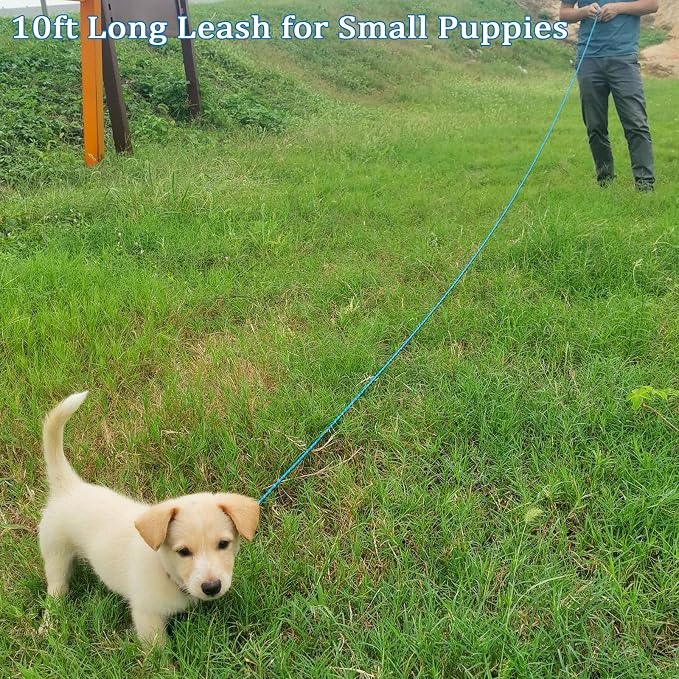 WYuZe Reflective X-Small Dog Leash 6/10/15 FT, Thin 1/5" Lightweight Rope Leash for Puppy Training, Walking Leads for Cats Chihuahua Maltese Small Pets Up to 15lb, (10FT, Blue)
