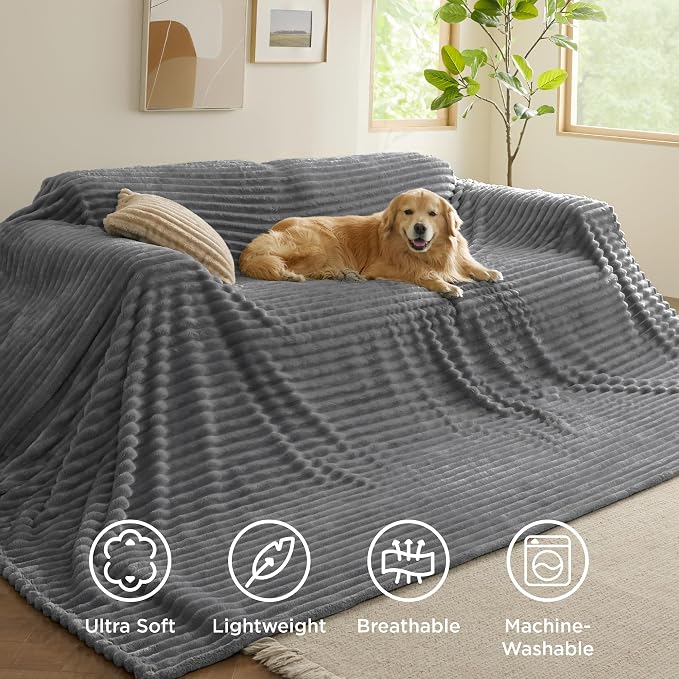Bedsure GentleSoft Large Fleece Blanket for Bed - Cozy Soft Throw Blankets for Women, Cute Large Throws for Girls, Frost Gray, 120x120 Inches