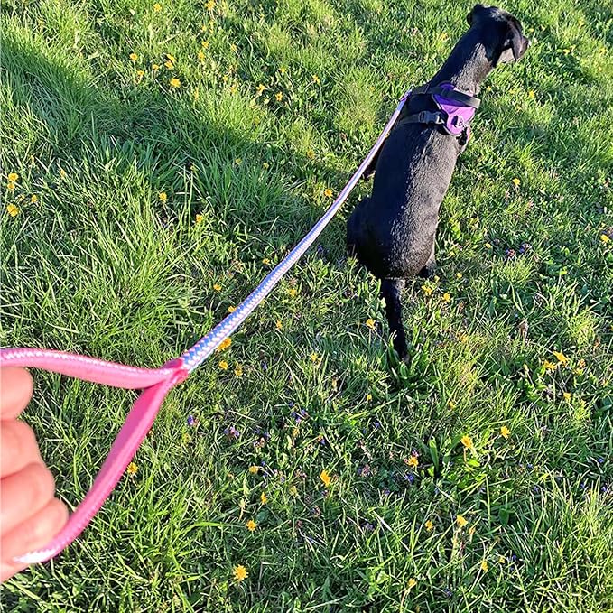 2/3/4/6/10 ft Reflective Dog Leash Strong Nylon Rope Braided Heavy Duty for Large Medium Small Dogs Walking Training Leads (Pink, 6ft * 1/2")