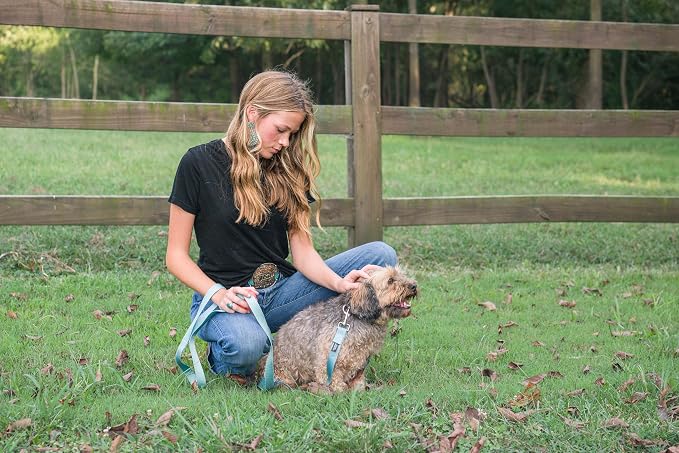 Country Brook Petz - Everyday Nylon Dog Leash - Strong, Durable, Solid Color Leash with Easy to Use Snap - 25+ Colors (1 Inch Wide, 4 Foot, Ocean Blue)