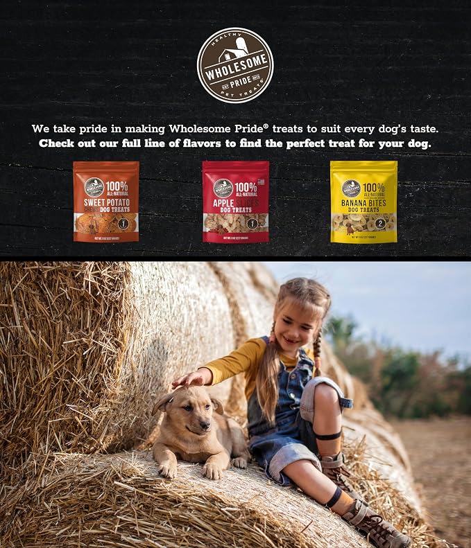Wholesome Pride Healthy Sweet Potato Fries – Sensitive Stomach Dog Treats, No Preservatives, Single-Ingredient, No Grain, 32 oz