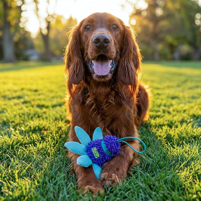 Outward Hound FlyFetch Teaser Wand Dog Toy with Crinkle Attachment, Durable for Indoor & Outdoor Play, All Breeds, 17.7"