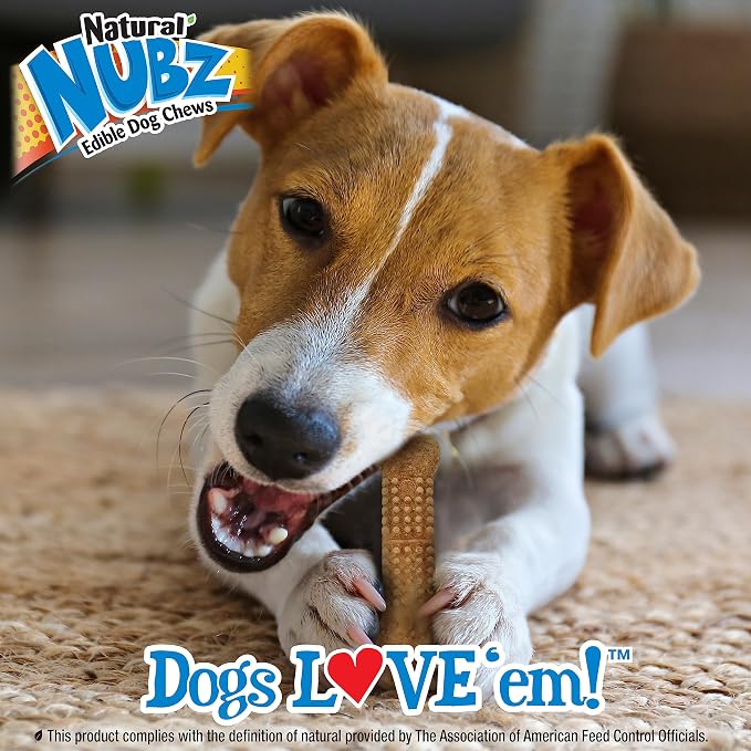 Nylabone Nubz Wild Natural Dog Chew Treats for Small Dogs, Long Lasting Dog Chew Bones Made in USA, Bison Flavor, Small Dog Bones for Dogs Up to 25 lbs. (4 Count)