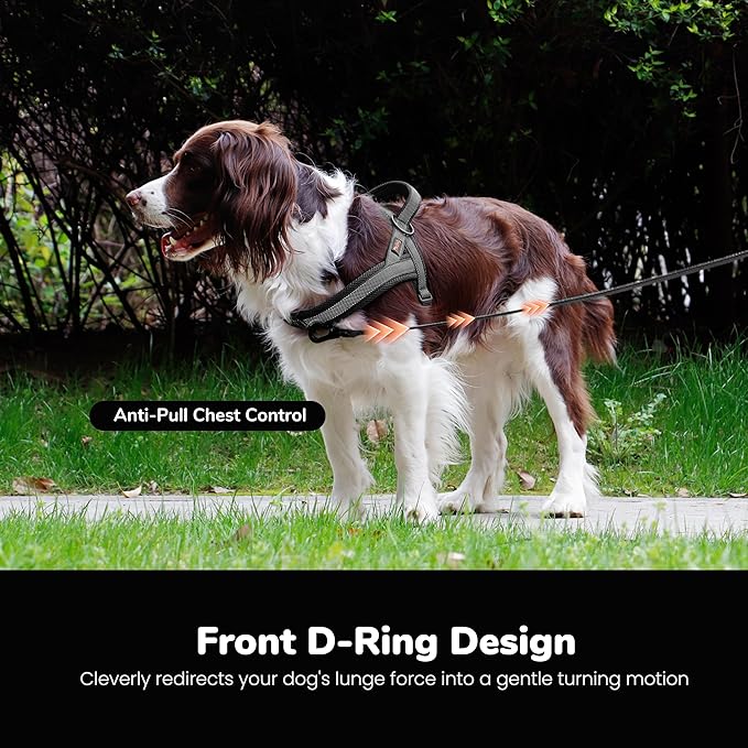 Didog No Pull Dog Harness with Breathable Mesh Padded, Full Reflective & Quick Fit Adjustable Vest Harness, Easy for Training Walking for Small & Medium and Large Dogs (Black, M:Chest 21-26")