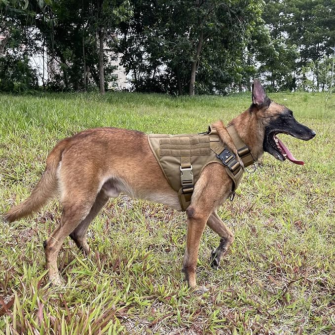 ICEFANG Tactical Dog Harness,X-Large Size, 2X Metal Buckle,Working Dog MOLLE Vest with Handle,No Pulling Front Leash Clip,Hook and Loop Panel